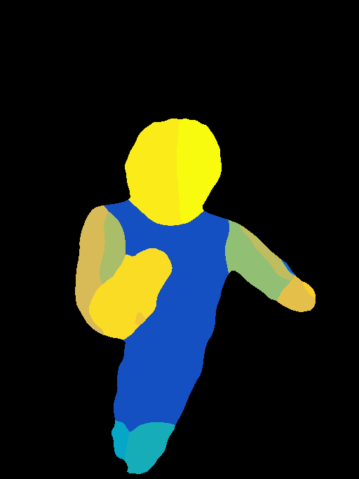 densepose_parula