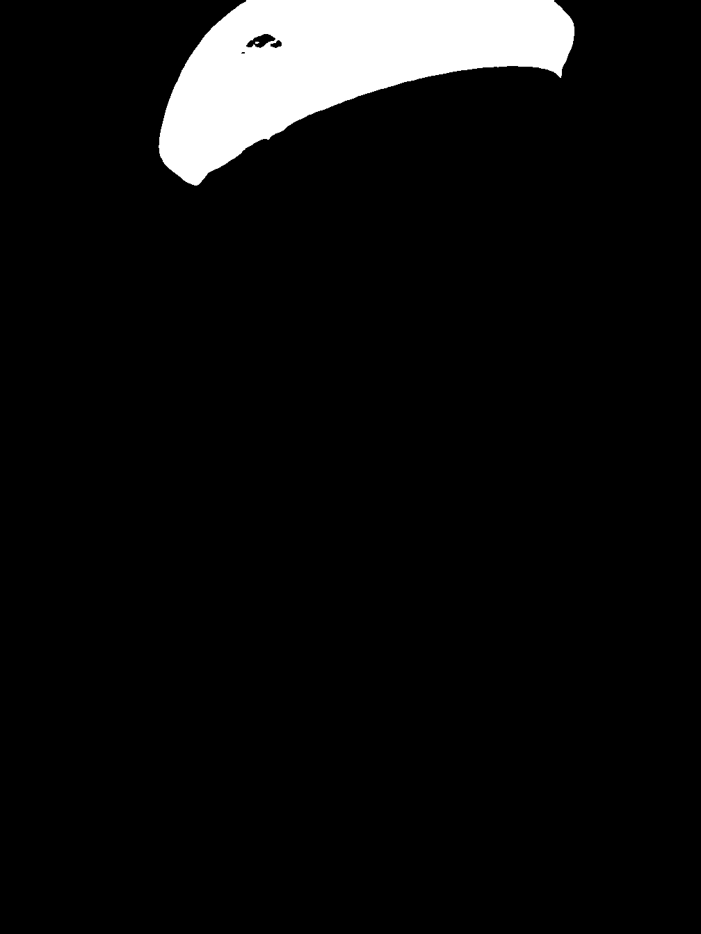 segment_anything_result_3_6